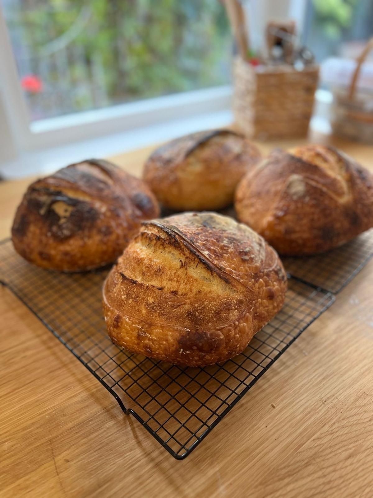 Detaylı Ekşi Maya Atölyesi